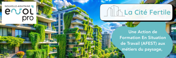 Bannière Link+Mail (1)