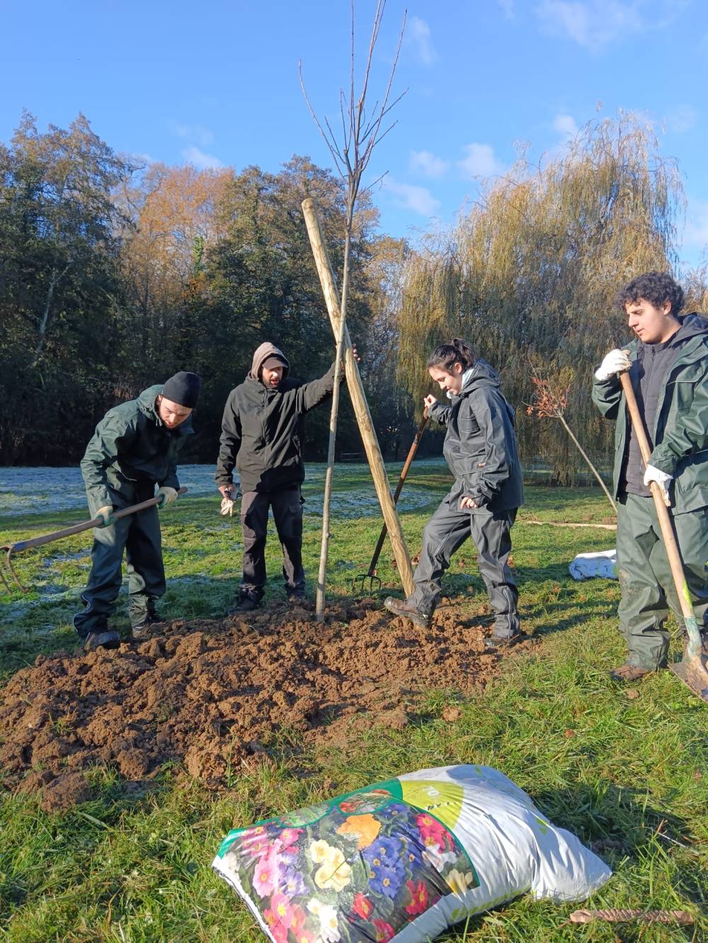 965876be-e01a-4b99-96dd-2cfc3c8a4cb7